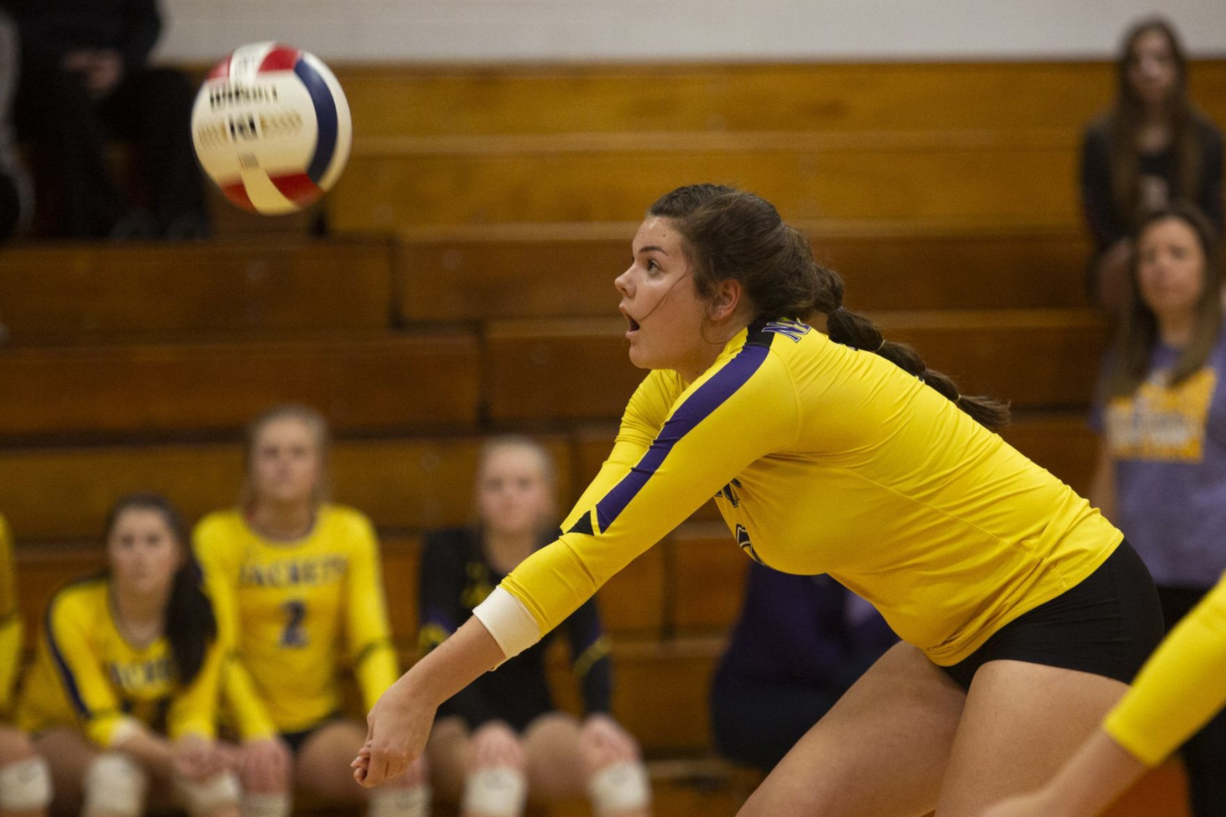 Class 1A Raymond Lincolnwood Sectional semifinal